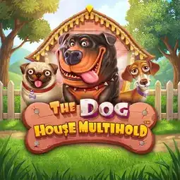 The Dog House Multihold gra w Fontan Casino dla graczy z Polski